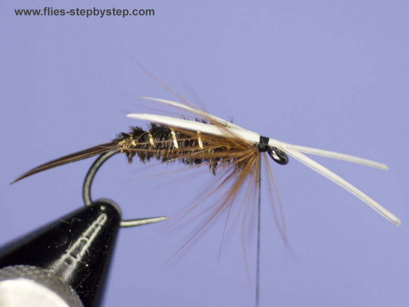 Prince Nymph pattern How to tie fly, Fly tying Step by Step Patterns & Tutorials
